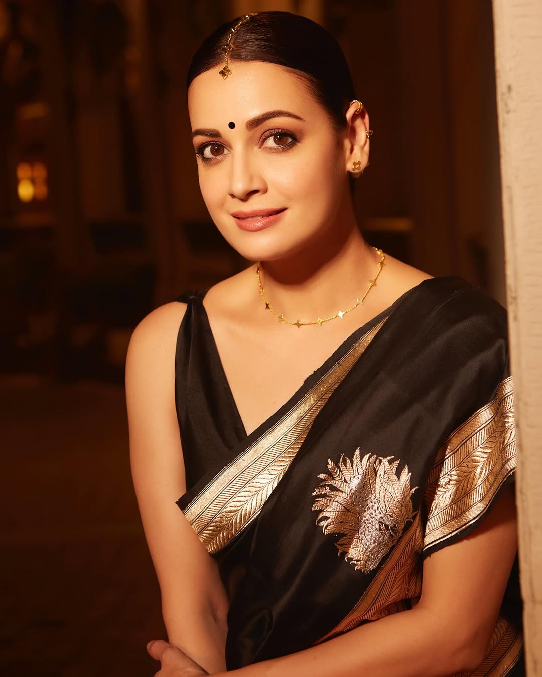 Black Silk Saree with Antique Gold Sun Motifs