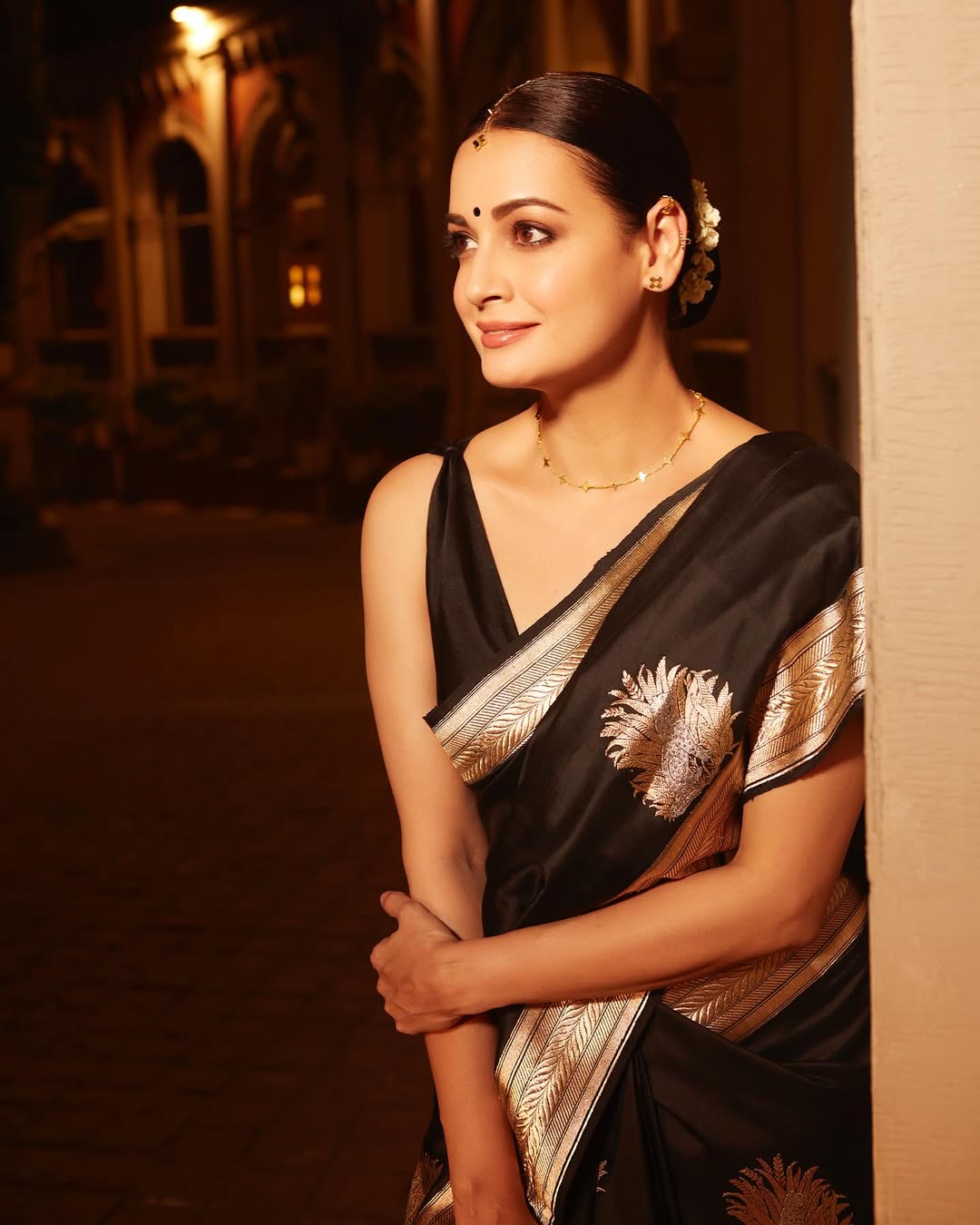 Black Silk Saree with Antique Gold Sun Motifs