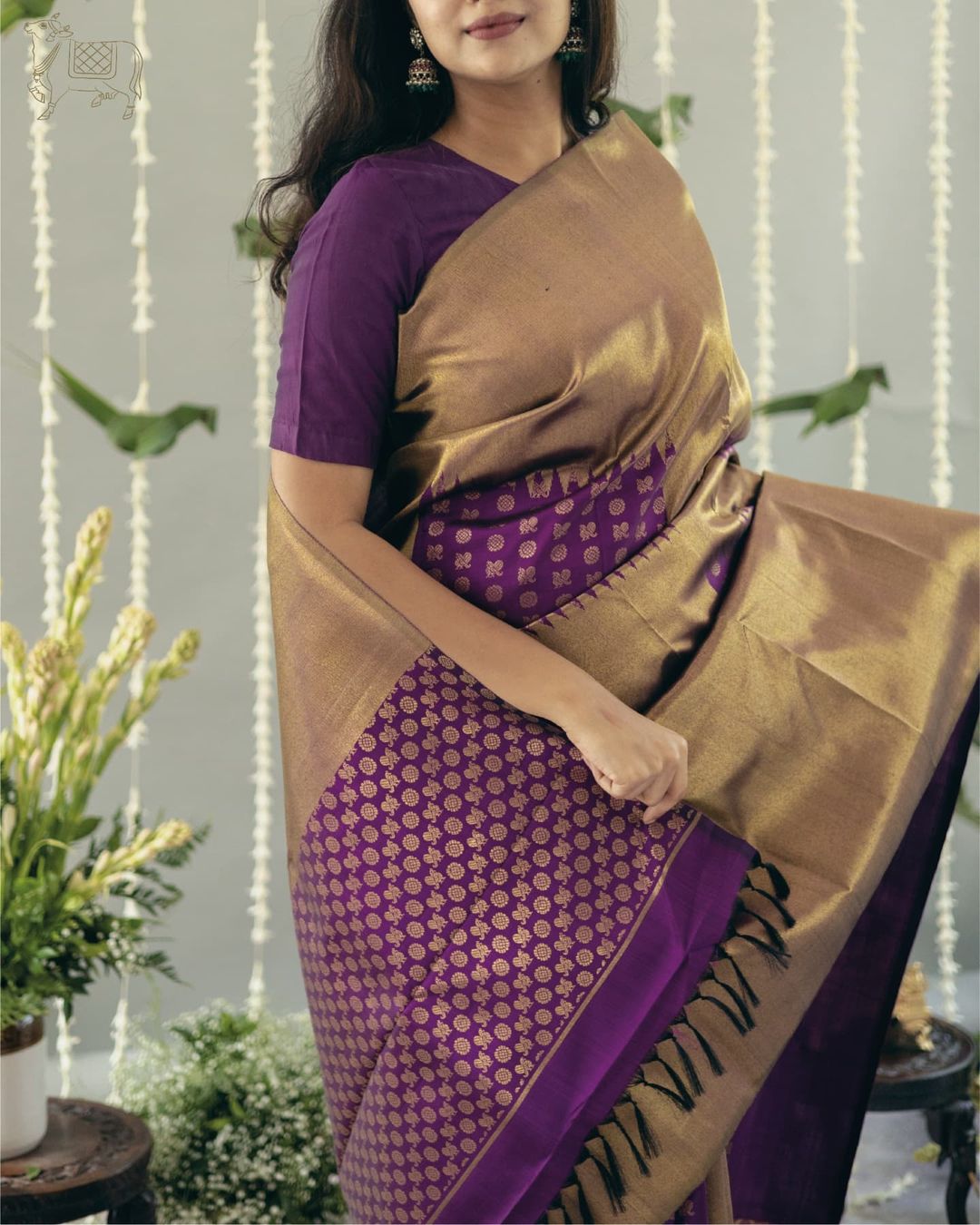 Golden Mocha & Royal Violet Kanjivaram Silk Saree