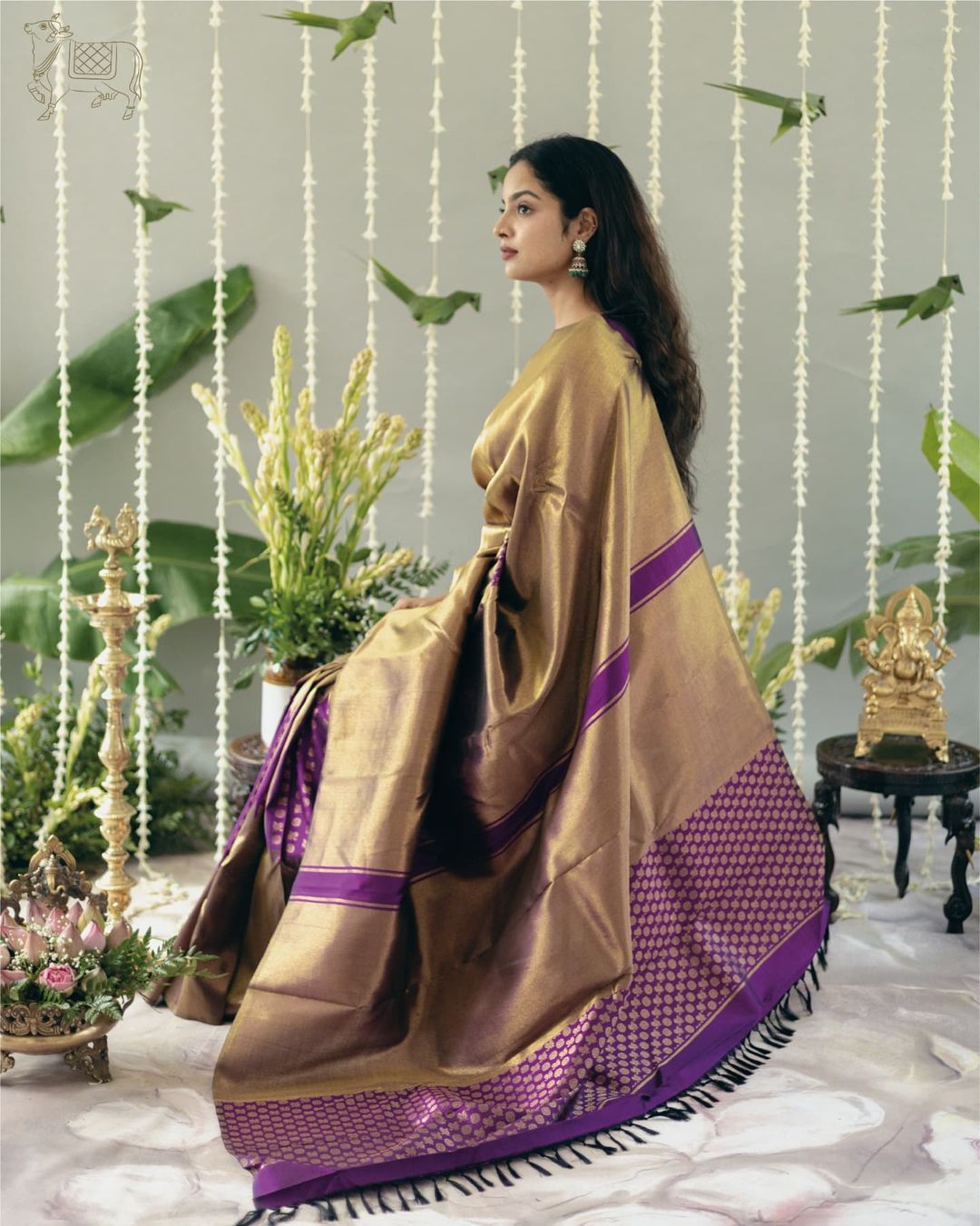 Golden Mocha & Royal Violet Kanjivaram Silk Saree