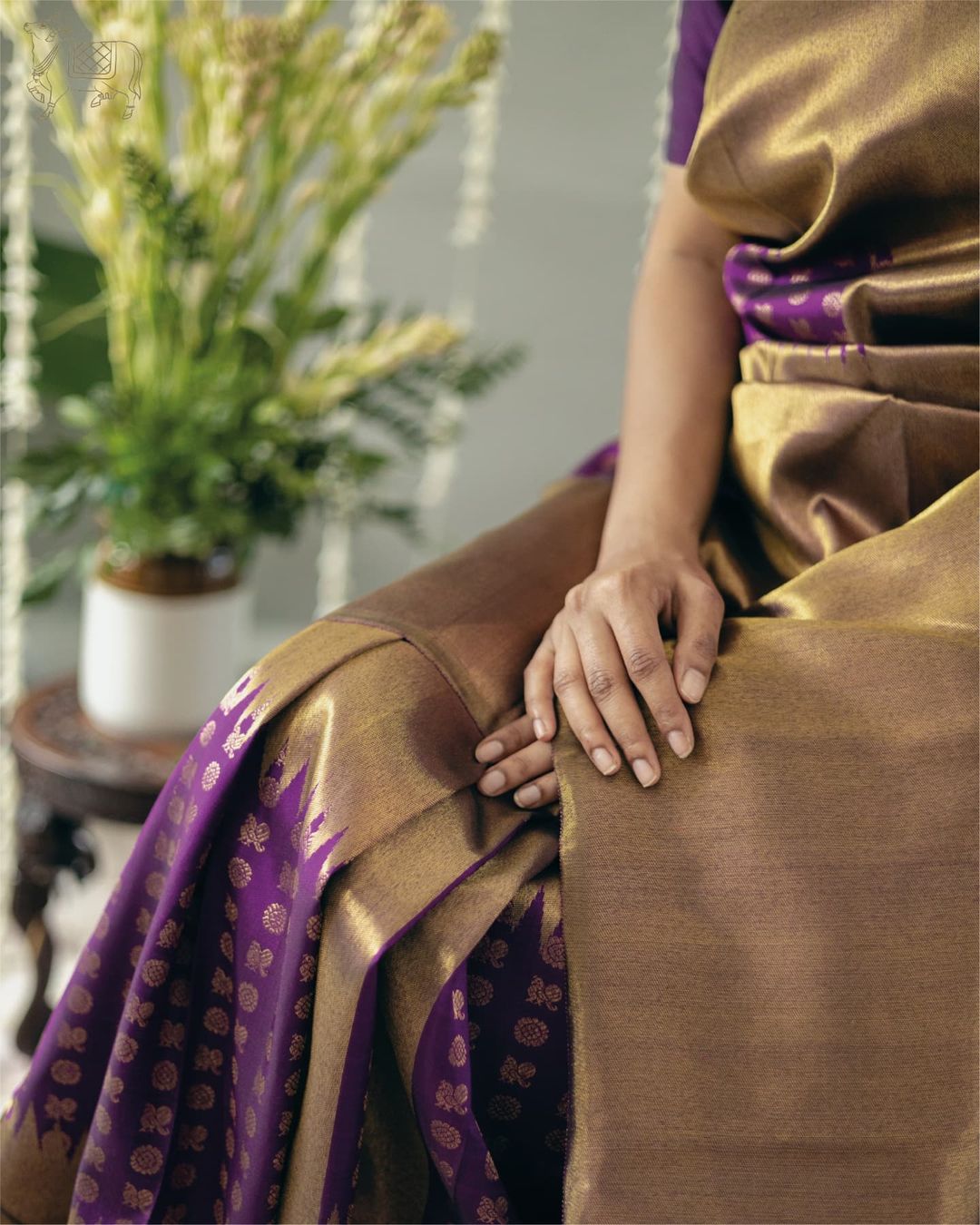 Golden Mocha & Royal Violet Kanjivaram Silk Saree