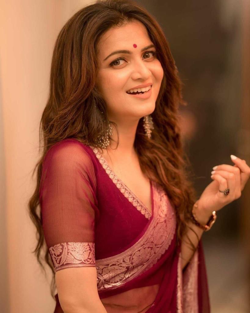 Vintage Wine Georgette Saree