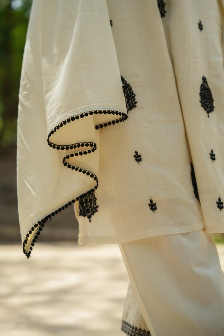 Women's Embroidered Salwar Suit Set